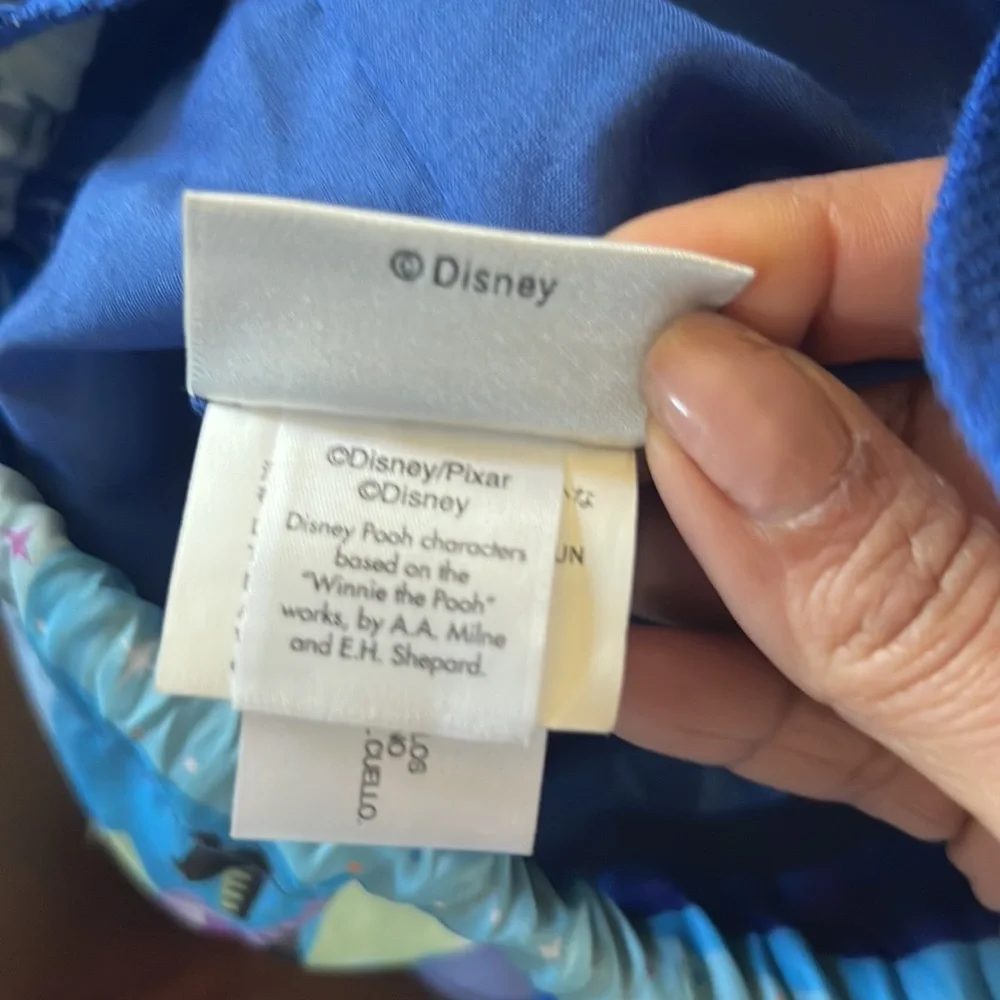 Disney Disneyland Park Authentic Original Diamond Celebration nylon bac…